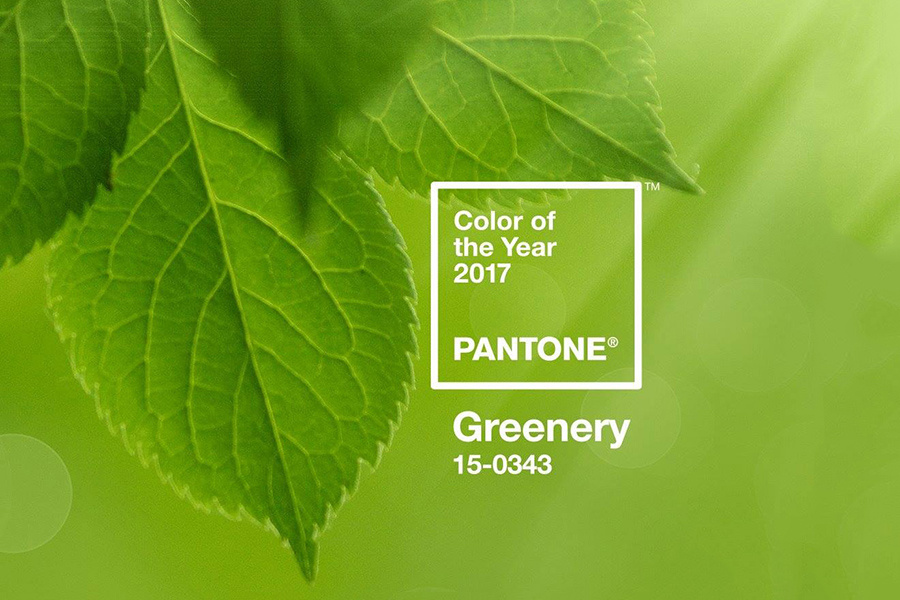 Pantone of the Year 2017